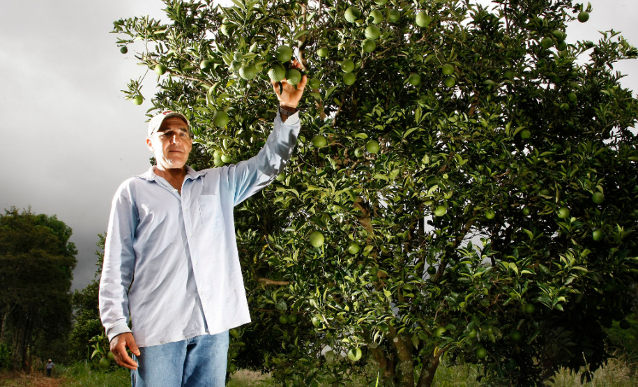 COAPROCOR, Cooperativa Agroindustrial de Produtores de Corumbataí do Sul. Na foto o agricultor Carlos Cezar Matesco. 12-03-14.