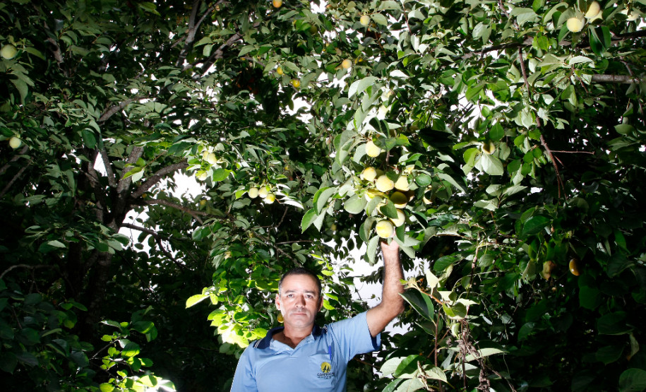 COAPROCOR, Cooperativa Agroindustrial de Produtores de Corumbatai do Sul, na foto o agricultor João Batista. 12-03-14.