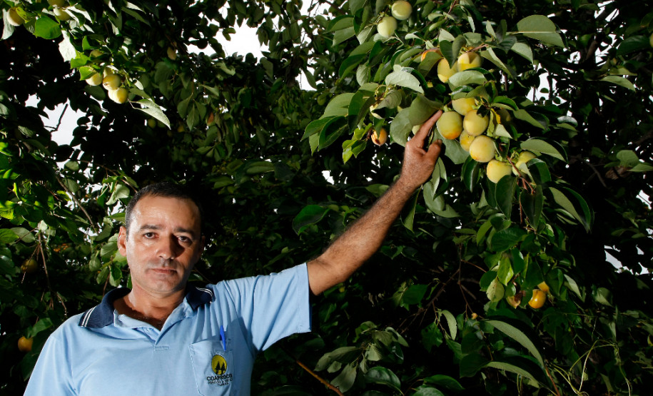 COAPROCOR, Cooperativa Agroindustrial de Produtores de Corumbatai do Sul, na foto o agricultor João Batista. 12-03-14.