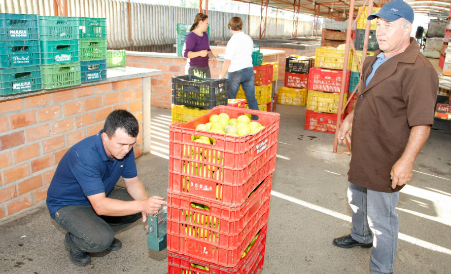 Distribuição da merenda escolar na Cooperativa de Produção e Comercialização dos Agricultores Familiares de Ibaiti (Coompetir). 01-04-14.