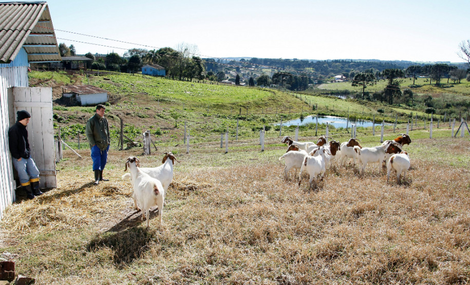 CEEP Assis Brasil de Clevelândia. 28-08-13. Imagem ilustrativa.