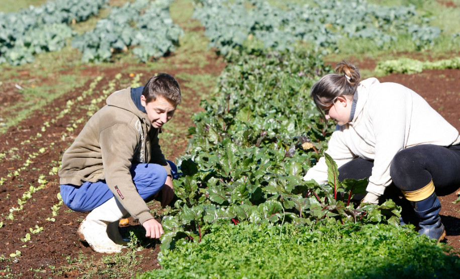 CEEP Assis Brasil de Clevelândia. 28-08-13. Imagem ilustrativa.