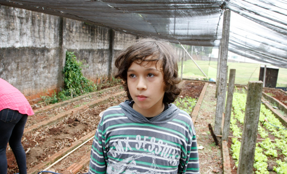 Os alunos do 9º ano do Colégio Estadual Rocha Pombo, em Capanema, no Sudoeste, agora têm uma nova atribuição na escola. Eles ficaram responsáveis pela horta da escola, de onde já foram colhidas verduras que enriqueceram a merenda escolar no almoço dos 192 estudantes que permanecem em tempo integral no colégio, na foto o aluno Adriano Bonassi. 13-05-14.