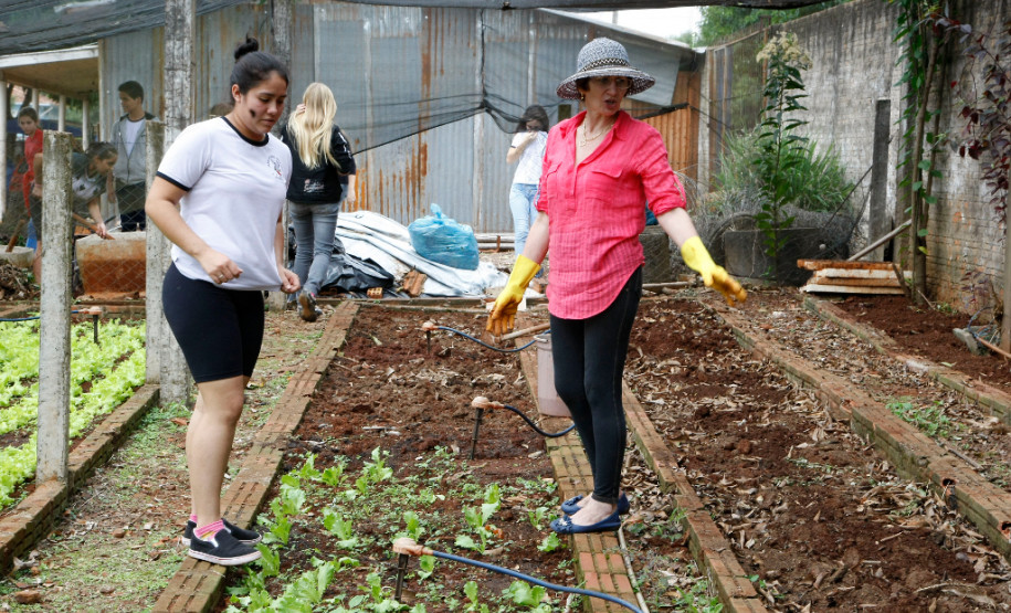 Os alunos do 9º ano do Colégio Estadual Rocha Pombo, em Capanema, no Sudoeste, agora têm uma nova atribuição na escola. Eles ficaram responsáveis pela horta da escola, de onde já foram colhidas verduras que enriqueceram a merenda escolar no almoço dos 192 estudantes que permanecem em tempo integral no colégio.13-05-14.
