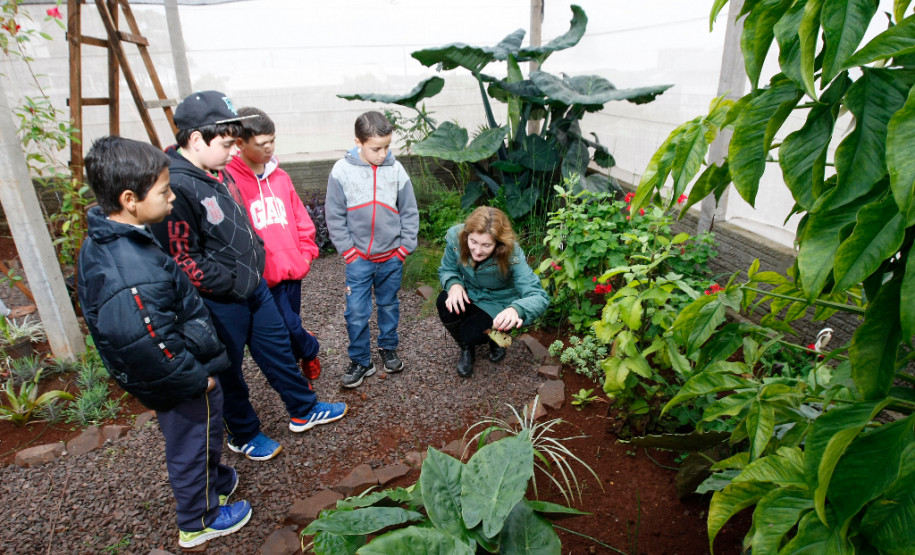 Colégio Estadual Amâncio Moro, em Corbélia, alunos observam a professora de biologia Giovana Fabres Matte. 27-05-14.