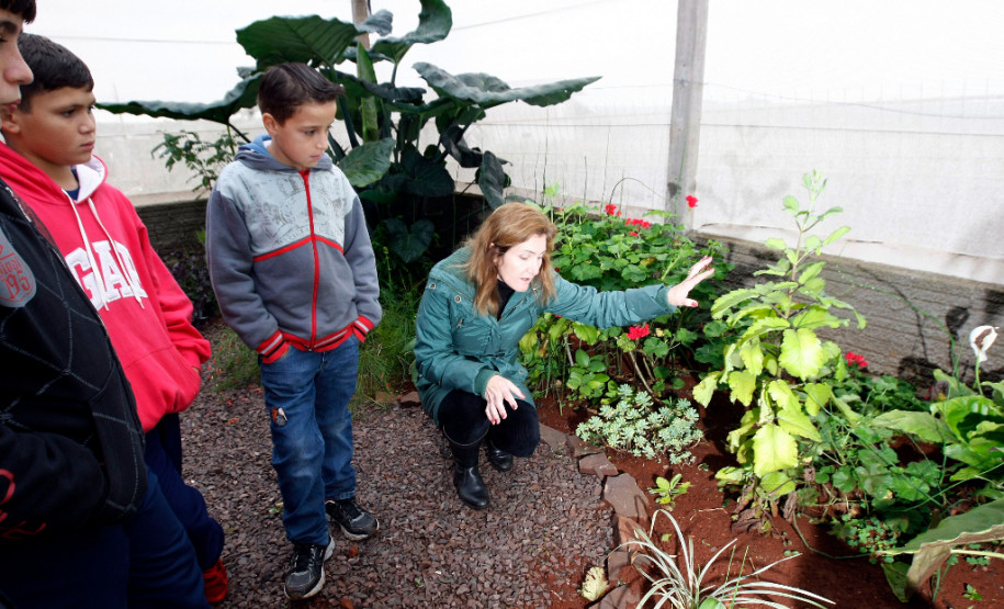 Colégio Estadual Amâncio Moro, em Corbélia, alunos observam a professora de biologia Giovana Fabres Matte. 27-05-14.