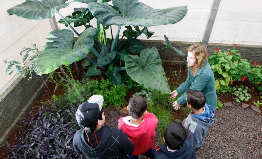 Colégio Estadual Amâncio Moro, em Corbélia, alunos observam a professora de biologia Giovana Fabres Matte. 27-05-14.
