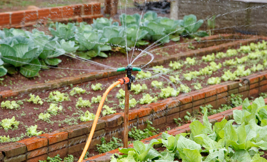 Colégio Estadual Amâncio Moro, em Corbélia, irrigação da horta com água da chuva captada. 27-05-14.
