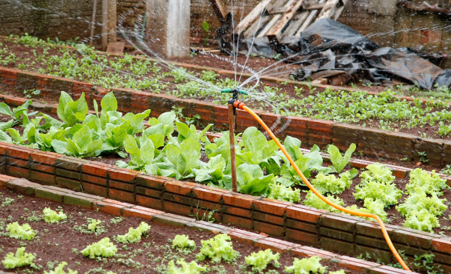 Colégio Estadual Amâncio Moro, em Corbélia, irrigação da horta com água da chuva captada. 27-05-14.