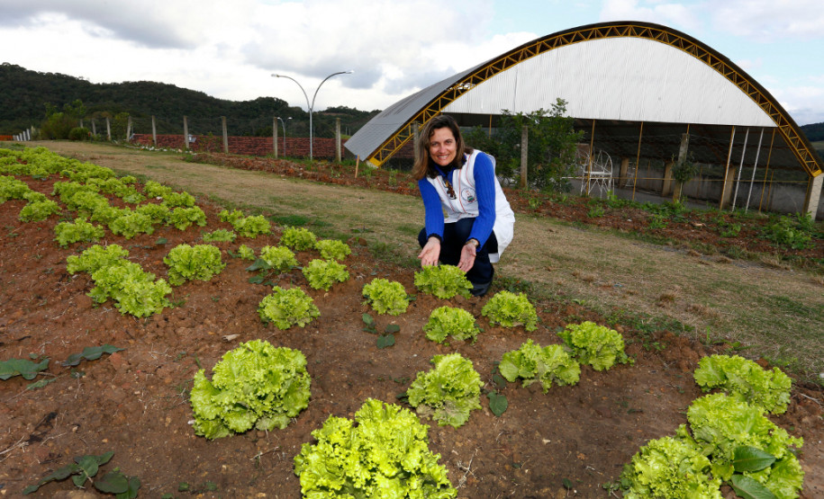 Lozangela Machado de Morais Calado, diretora do Colégio Estadual Nossa Senhora da Conceição, em Campo Magro, região metropolitana de Curitiba.
Curitiba, 27-05-14.