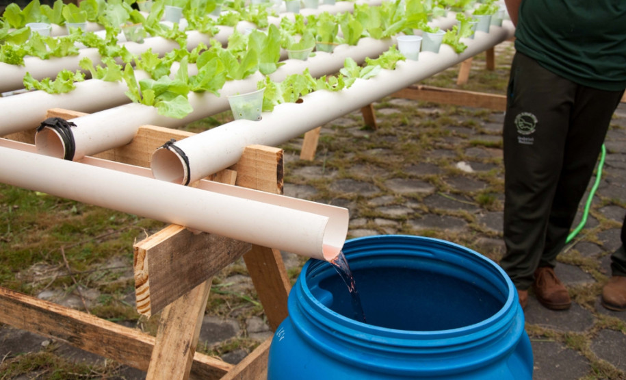 Cerca de 500 alunos do 9° ano de várias escolas da Região Metropolitana de Curitiba participaram nesta quarta-feira (5) da segunda edição do “Dia do Campo”, no Centro Estadual de Educação Profissional Newton Freire Maia, em Pinhais. Os estudantes foram acompanhados pelos pais e aproveitaram para conhecer e fazer as inscrições nos cursos oferecidos pela escola. A feira agrícola aconteceu em comemoração ao Dia do Técnico em Agropecuária.