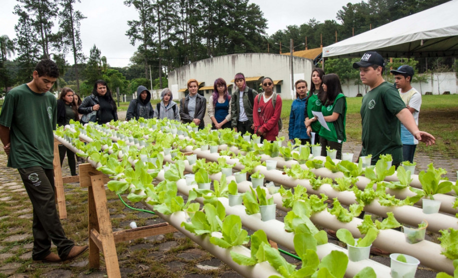 Cerca de 500 alunos do 9° ano de várias escolas da Região Metropolitana de Curitiba participaram nesta quarta-feira (5) da segunda edição do “Dia do Campo”, no Centro Estadual de Educação Profissional Newton Freire Maia, em Pinhais. Os estudantes foram acompanhados pelos pais e aproveitaram para conhecer e fazer as inscrições nos cursos oferecidos pela escola. A feira agrícola aconteceu em comemoração ao Dia do Técnico em Agropecuária.