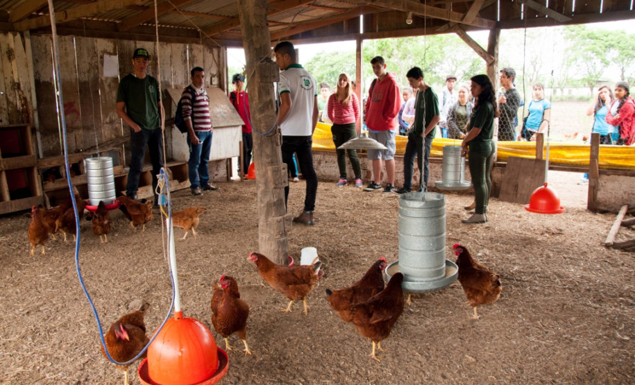 Cerca de 500 alunos do 9° ano de várias escolas da Região Metropolitana de Curitiba participaram nesta quarta-feira (5) da segunda edição do “Dia do Campo”, no Centro Estadual de Educação Profissional Newton Freire Maia, em Pinhais. Os estudantes foram acompanhados pelos pais e aproveitaram para conhecer e fazer as inscrições nos cursos oferecidos pela escola. A feira agrícola aconteceu em comemoração ao Dia do Técnico em Agropecuária.