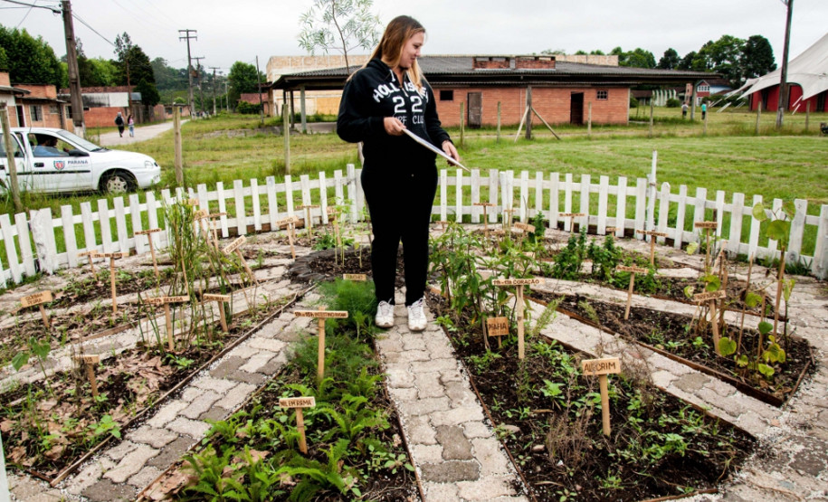 Cerca de 500 alunos do 9° ano de várias escolas da Região Metropolitana de Curitiba participaram nesta quarta-feira (5) da segunda edição do “Dia do Campo”, no Centro Estadual de Educação Profissional Newton Freire Maia, em Pinhais. Os estudantes foram acompanhados pelos pais e aproveitaram para conhecer e fazer as inscrições nos cursos oferecidos pela escola. A feira agrícola aconteceu em comemoração ao Dia do Técnico em Agropecuária.