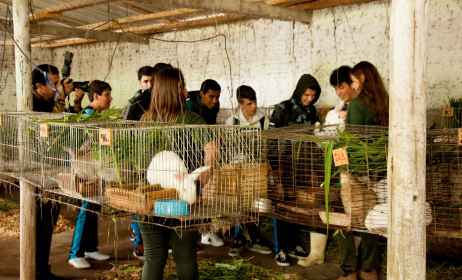 Cerca de 500 alunos do 9° ano de várias escolas da Região Metropolitana de Curitiba participaram nesta quarta-feira (5) da segunda edição do “Dia do Campo”, no Centro Estadual de Educação Profissional Newton Freire Maia, em Pinhais. Os estudantes foram acompanhados pelos pais e aproveitaram para conhecer e fazer as inscrições nos cursos oferecidos pela escola. A feira agrícola aconteceu em comemoração ao Dia do Técnico em Agropecuária.
