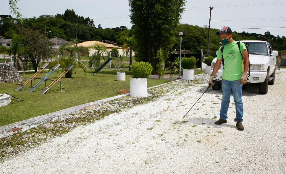 Curso técnico inspira jovem a iniciar o próprio negócio Ter o próprio negócio e trabalhar com o que gosta sempre foi o desejo do estudante Luan Coradin, 18 anos. No 4° e último ano do curso técnico em Paisagismo do Centro Estadual de Educação Profissional Newton Freire Maia, em Pinhais, Região Metropolitana de Curitiba, o jovem empreendedor resolveu, em 2011, abrir a própria empresa, motivado pelo curso que havia começado. 11-11-14.