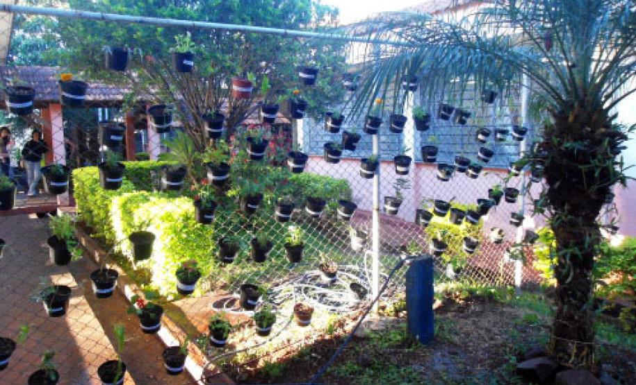 O clima da primavera inspira a comunidade do Colégio Estadual Horácio Ribeiro dos Reis, em Cascavel, no Oeste do Estado. Nesta semana, estão sendo plantados diversos tipos de flores, como orquídeas, gerânios, onze horas, cravos, begônias, operárias, espadas de São Jorge.