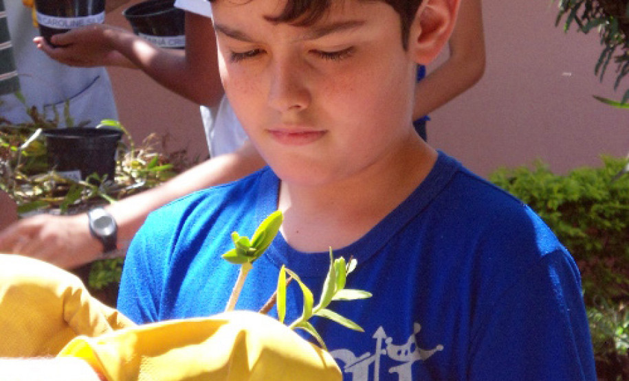 O clima da primavera inspira a comunidade do Colégio Estadual Horácio Ribeiro dos Reis, em Cascavel, no Oeste do Estado. Nesta semana, estão sendo plantados diversos tipos de flores, como orquídeas, gerânios, onze horas, cravos, begônias, operárias, espadas de São Jorge.