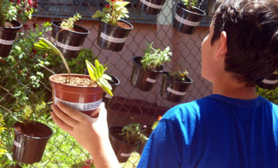 O clima da primavera inspira a comunidade do Colégio Estadual Horácio Ribeiro dos Reis, em Cascavel, no Oeste do Estado. Nesta semana, estão sendo plantados diversos tipos de flores, como orquídeas, gerânios, onze horas, cravos, begônias, operárias, espadas de São Jorge.