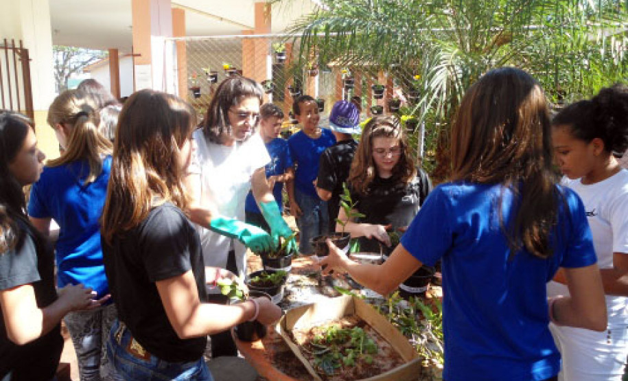 O clima da primavera inspira a comunidade do Colégio Estadual Horácio Ribeiro dos Reis, em Cascavel, no Oeste do Estado. Nesta semana, estão sendo plantados diversos tipos de flores, como orquídeas, gerânios, onze horas, cravos, begônias, operárias, espadas de São Jorge.