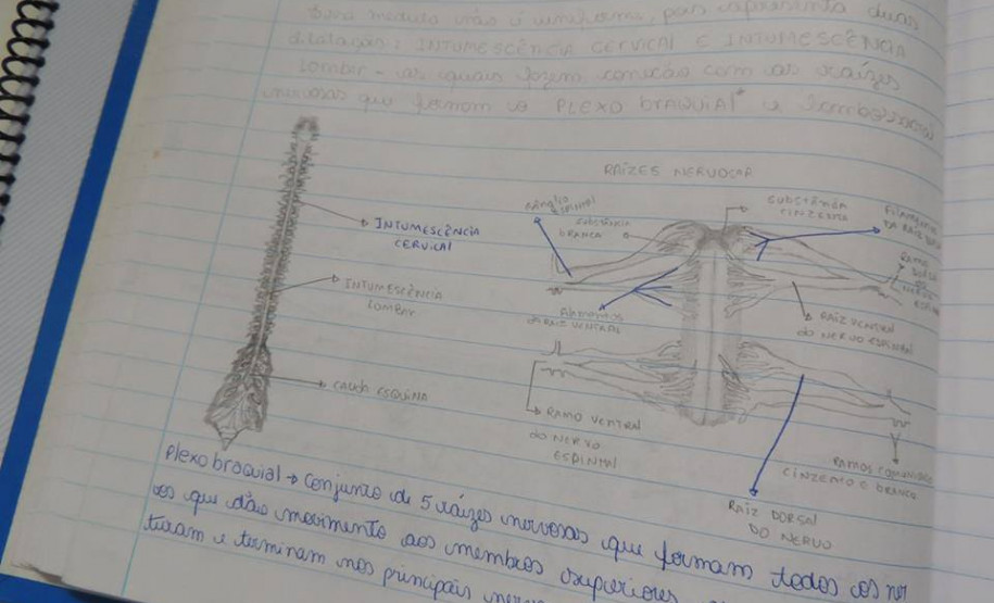 O projeto dos alunos do Ceep de Cascavel recebeu três prêmios: o terceiro lugar na categoria Áreas do Conhecimento, Engenharia; Menção Honrosa na categoria Inovação, e o Prêmio Vivência Estudantil