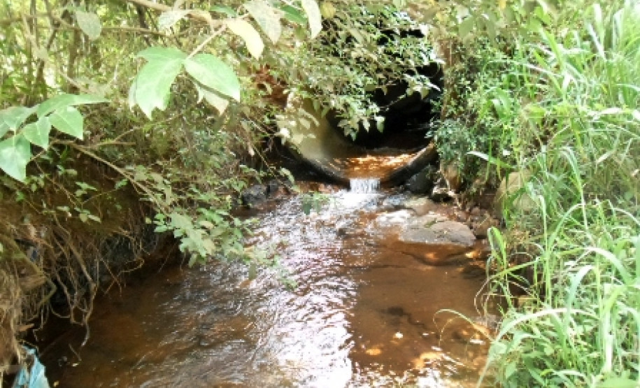 Os alunos do curso Técnico de Meio Ambiente do Colégio Estadual Tancredo Neves, em Francisco Beltrão, participaram, nesta segunda-feira (24), da terceira e última etapa de monitoramento e coleta de amostras de água do Córrego Três Pioneiros, que integra a bacia do Rio Marrecas, próximo à escola.