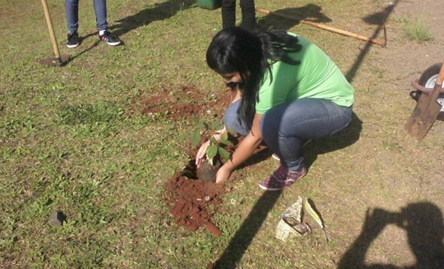 Colégio fica em 1º lugar em concurso de plantio de árvores Alunos do Colégio Estadual Carmelina Ferreira Pedroso, em Arapoti, fecharam o ano letivo de 2014 com uma grande conquista, o 1º lugar nacional e o 20º lugar mundial em um concurso internacional de plantio de árvores promovido pela Eno Tree Planting Day. Ao todo, foram 3.741 mudas de diferentes espécies de árvores plantadas no município.