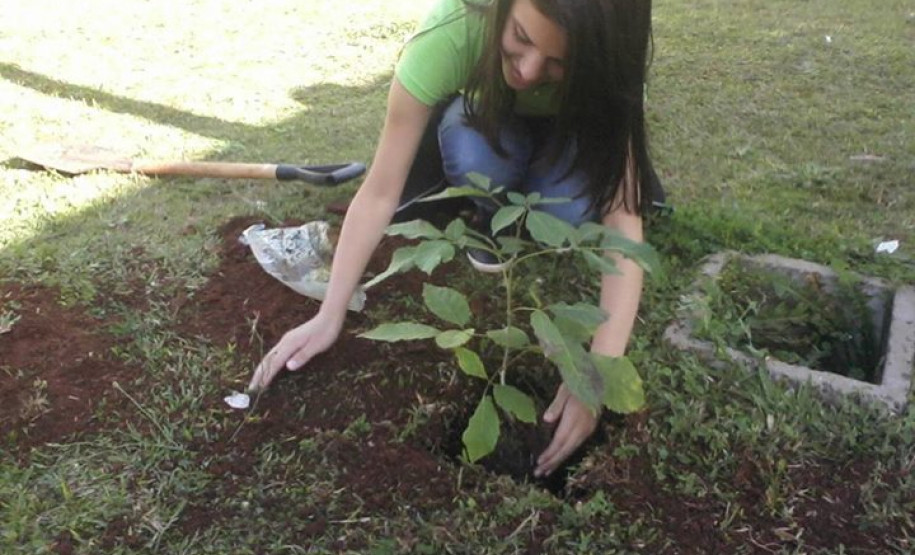 Colégio fica em 1º lugar em concurso de plantio de árvores Alunos do Colégio Estadual Carmelina Ferreira Pedroso, em Arapoti, fecharam o ano letivo de 2014 com uma grande conquista, o 1º lugar nacional e o 20º lugar mundial em um concurso internacional de plantio de árvores promovido pela Eno Tree Planting Day. Ao todo, foram 3.741 mudas de diferentes espécies de árvores plantadas no município.
