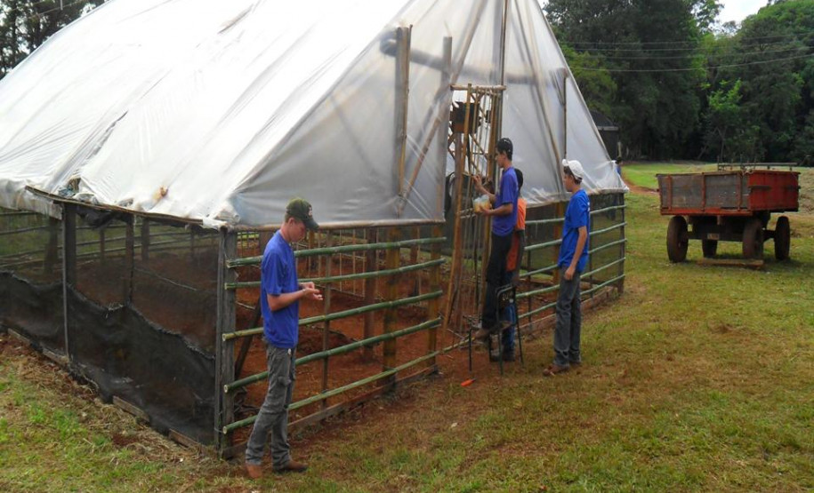 Organizada pelos alunos do Colégio Agrícola Estadual Manoel Ribas, EXPOAGRI reuniu comunidade para mostrar o que é feito em sala de aula.