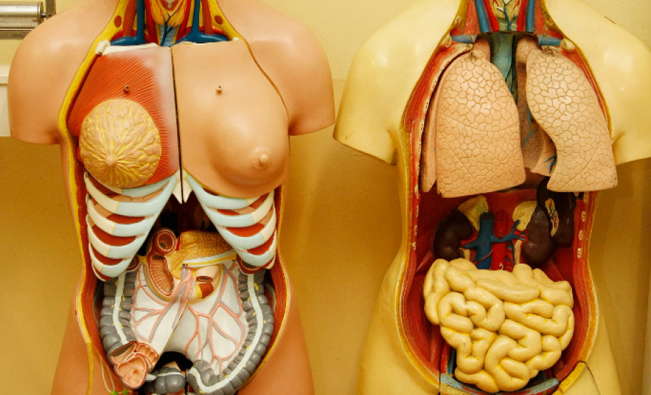 Curso para técnicos em enfermagem tem aula inaugural Colégio Estadual São Pedro Apóstolo no Xaxim, aula inaugural do curso de especialização em enfermagem do trabalho. 06-02-15.