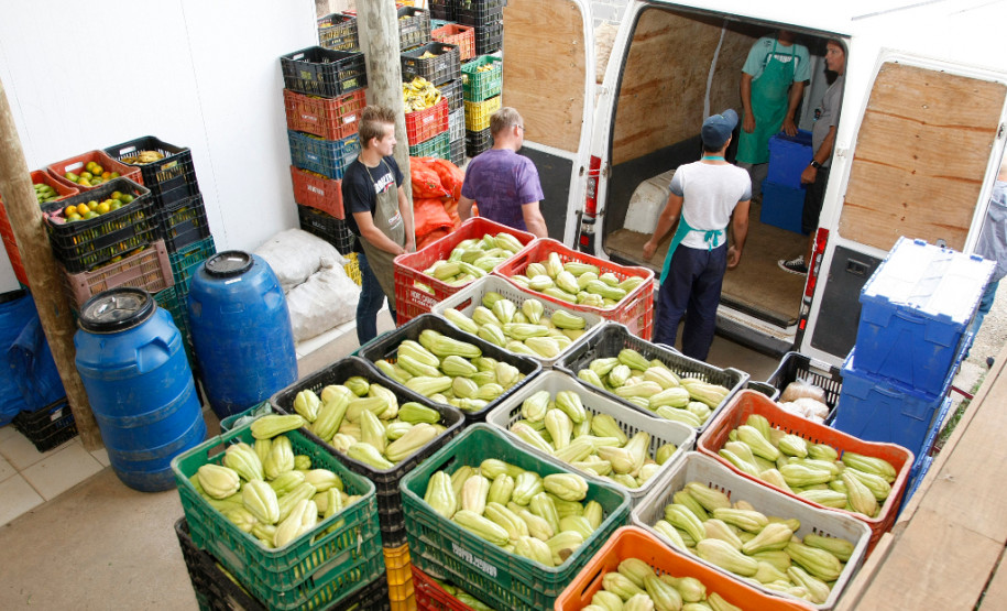 Agricultura familiar garante merenda nas escolas Secretaria de Estado da Educação do Paraná, Cooperativa AOPA de agricultura familiar, agricultores separam alimentos para entrega nas escolas. 14-04-15.