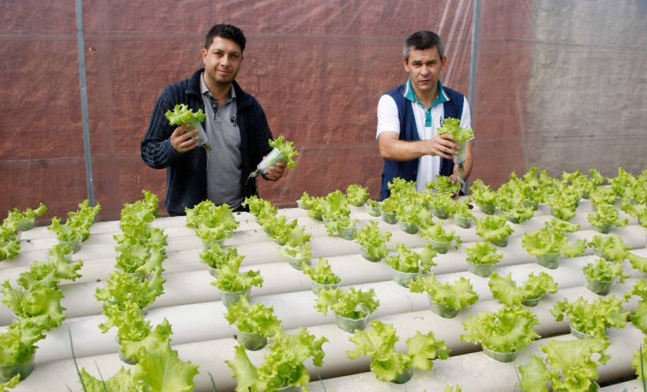 Horta hidropônica é ferramenta de ensino em colégio Colégio Estadual Teobaldo Leonardo Kletemberg, no bairro Novo Mundo, em Curitiba. Na foto o professor Walney Rogério e o diretor Silberto Cardoso. 28-04-15.