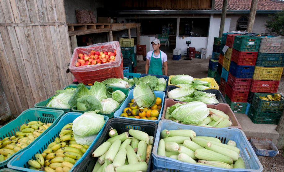Agricultores e transporte escolar são prejudicados pela greve A greve dos professores da rede estadual prejudica não apenas os alunos, mas também a profissionais que atuam indiretamente com a área da educação.