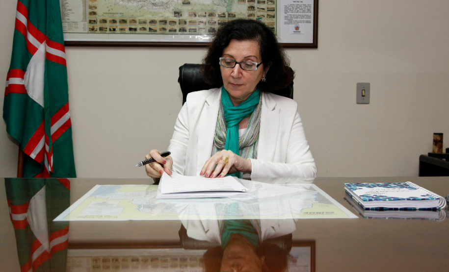 Uma avaliará o porte das escolas, por número de alunos, professores, funcionários e estrutura necessária, e outra as finanças do Estado na área da Educação.