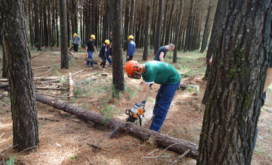 Encontro serviu para alunos do 9° ano de escolas da região conhecerem cursos e estrutura do centro florestal de educação profissional.
