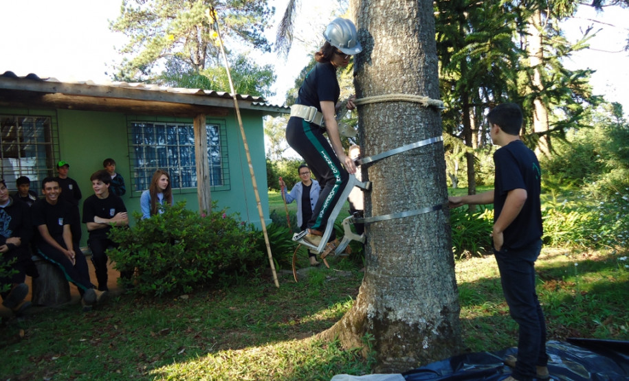 Encontro serviu para alunos do 9° ano de escolas da região conhecerem cursos e estrutura do centro florestal de educação profissional.