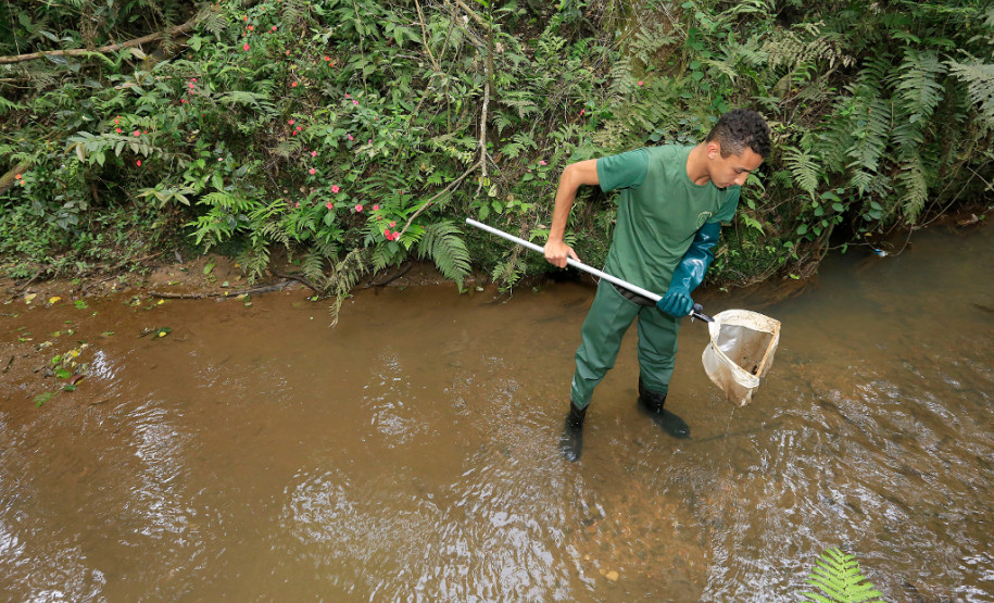 Alunos de escolas estaduais monitoram rios do Paraná Alunos do Centro Estadual de Educação Profissional Newton Freire Maia, em Pinhais, realizam atividades no Rio Canguiri. “Existe um senso comum de que se jogar o lixo no rio a correnteza vai levar e o problema estará resolvido, mas não é bem assim”, alertou o estudante Yllan Gebauer,