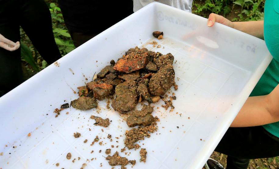 Alunos de escolas estaduais monitoram rios do Paraná Alunos do Centro Estadual de Educação Profissional Newton Freire Maia, em Pinhais, realizam atividades no Rio Canguiri.