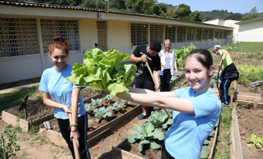 Promover a interação entre a escola e a comunidade, incentivar e oferecer uma alimentação saudável aos alunos. Foi com esses objetivos que surgiu o projeto da horta educativa no Colégio Estadual do Campo Professor Aloísio, localizado na comunidade rural de São Silvestre, a cerca de 60 quilômetros do Centro do município de Campo Largo, na Região Metropolitana de Curitiba (RMC).