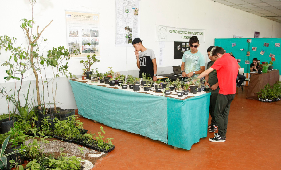 Mais de 30 pesquisas científicas estão expostas na terceira edição do “Dia de Campo e Feira de Profissões – Educação, Produção e Tecnologia”, promovida pelo Centro Estadual de Educação Profissional (CEEP) Newton Freire Maia, em Pinhais, na Região Metropolitana de Curitiba. Os trabalhos foram desenvolvidos ao longo do ano e são apresentados à comunidade, agricultores e empresários nesta quarta (11) e quinta-feira (12).
