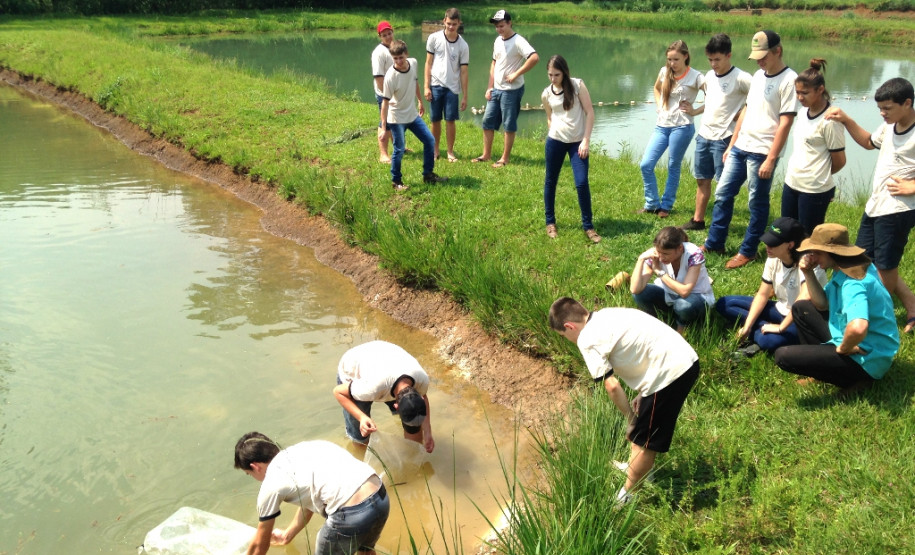O Colégio Estadual Agrícola Adroaldo Augusto Colombo, em Palotina, Oeste do Paraná, ampliou as práticas da atividade de piscicultura para oferecer mais conhecimentos e oportunidades de melhoria de renda aos alunos do Curso Técnico em Agropecuária. A escola, que pertence ao Governo do Estado, introduziu a criação de crustáceos (carcinicultura) nos tanques onde são criadas tilápias.