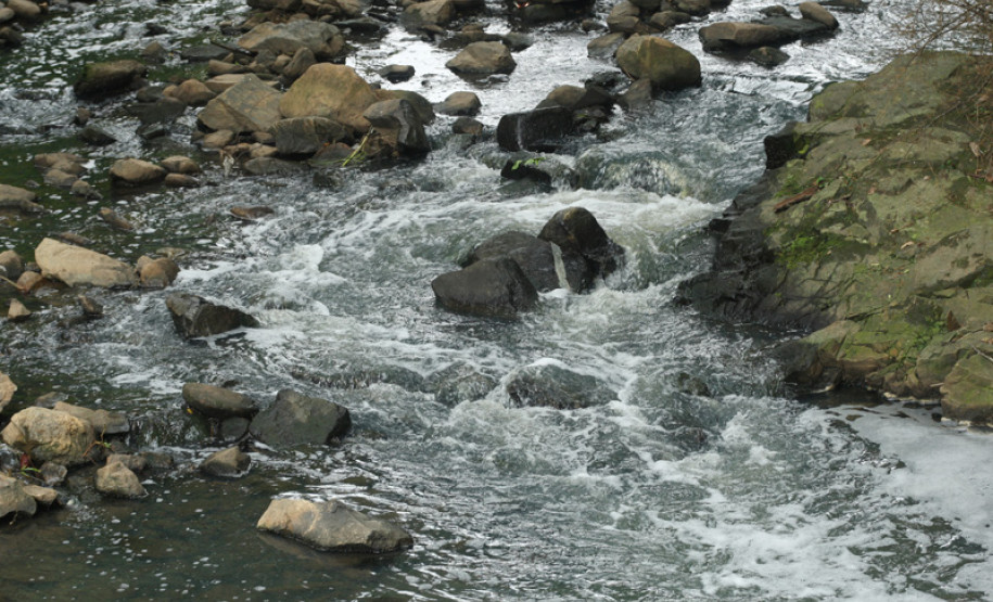 Encontro reuniu professores, alunos e funcionários das escolas públicas de Curitiba para celebrar data do dia 24, escolhida como Dia do Rio.