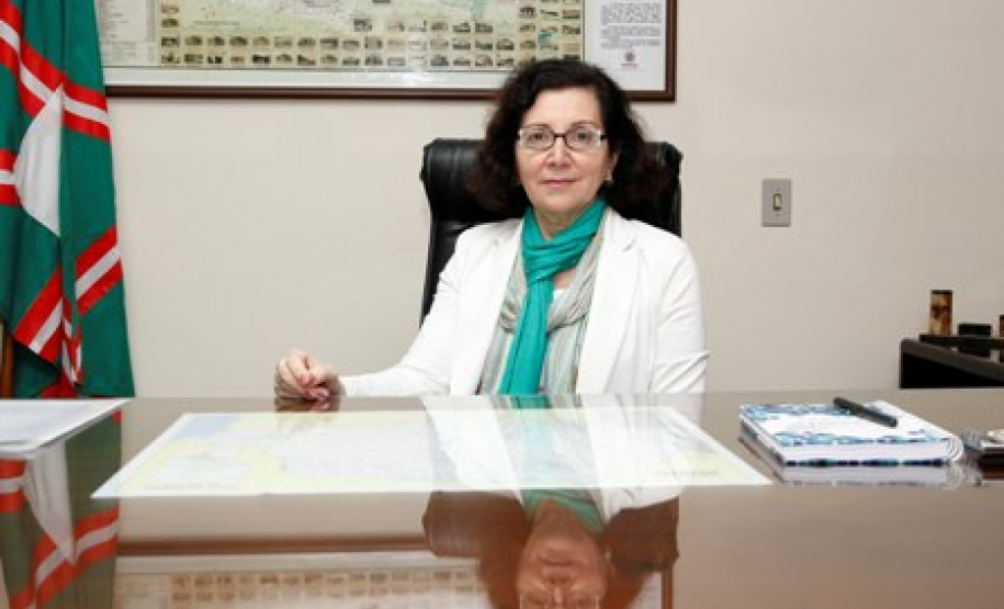 A secretária de Estado da Educação, professora Ana Seres, e a superintendente da Educação, professora Fabiana Campos, participam, nos Estados Unidos, da missão internacional “Educação para o Século XXI: preparando estudantes do ensino médio para um futuro promissor”. A missão é composta por representantes de vários estados, que vão conhecer experiências do ensino médio norte-americano. A organização é do Conselho Nacional de Secretários de Estado da Educação (Consed).