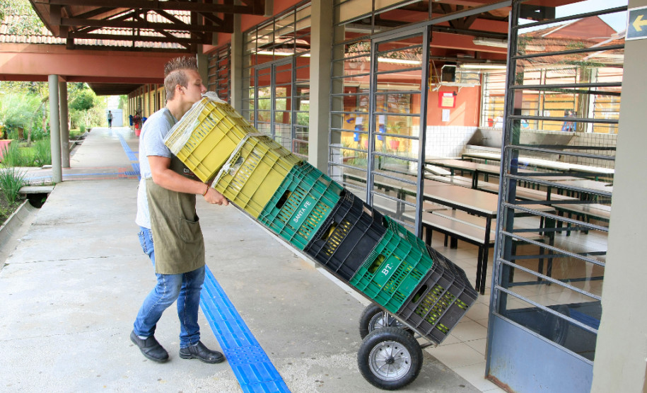 Nessa terça-feira (8), a Associação para o Desenvolvimento da Agroecologia do Paraná (Aopa) de Colombo, na Região Metropolitana de Curitiba, entregou bananas, maçãs, acelga, repolho, cebolinha verde e beterraba ao Colégio Estadual Zumbi dos Palmares, no mesmo município.