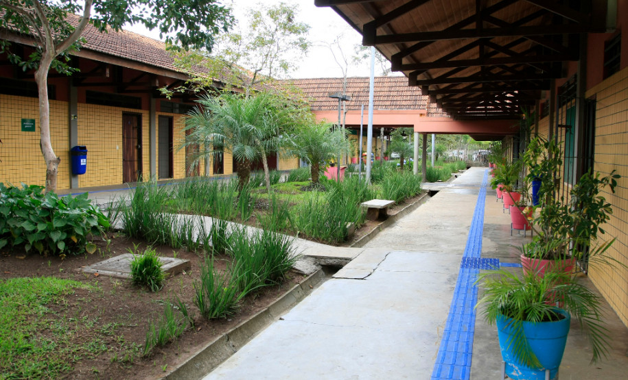 Nessa terça-feira (8), a Associação para o Desenvolvimento da Agroecologia do Paraná (Aopa) de Colombo, na Região Metropolitana de Curitiba, entregou bananas, maçãs, acelga, repolho, cebolinha verde e beterraba ao Colégio Estadual Zumbi dos Palmares, no mesmo município.