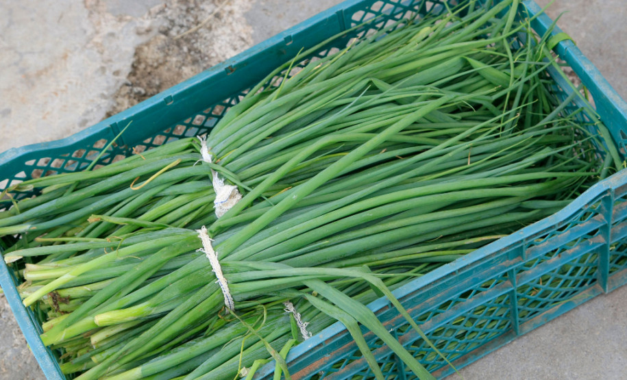 Agricultura familiar melhora qualidade da merenda O Governo do Paraná tem investido cada vez mais na qualidade da alimentação escolar servida a um milhão de estudantes matriculados na rede estadual de ensino. Entre 2011 e 2015, por meio do Programa Estadual de Alimentação Escolar, foram destinados mais de R$ 450 milhões na compra de gêneros alimentícios. Desse total, cerca de R$ 150 milhões se referem à aquisição de alimentos e produtos da agricultura familiar.