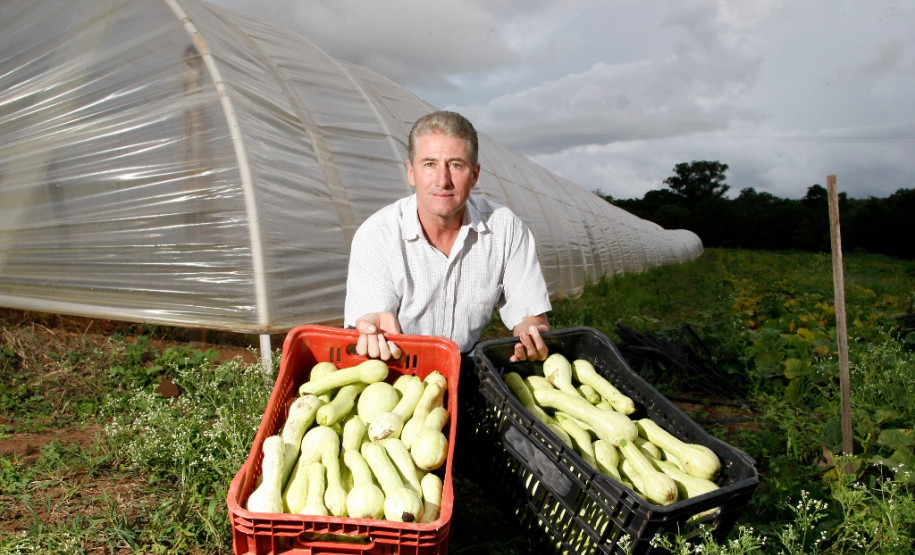 As cooperativas que firmaram contratos com o Governo do Estado já iniciam nesta semana, as a entrega dos produtos da agricultura familiar às escolas da rede pública estadual. Os itens incluem legumes, verduras e hortifrutigranjeiros.