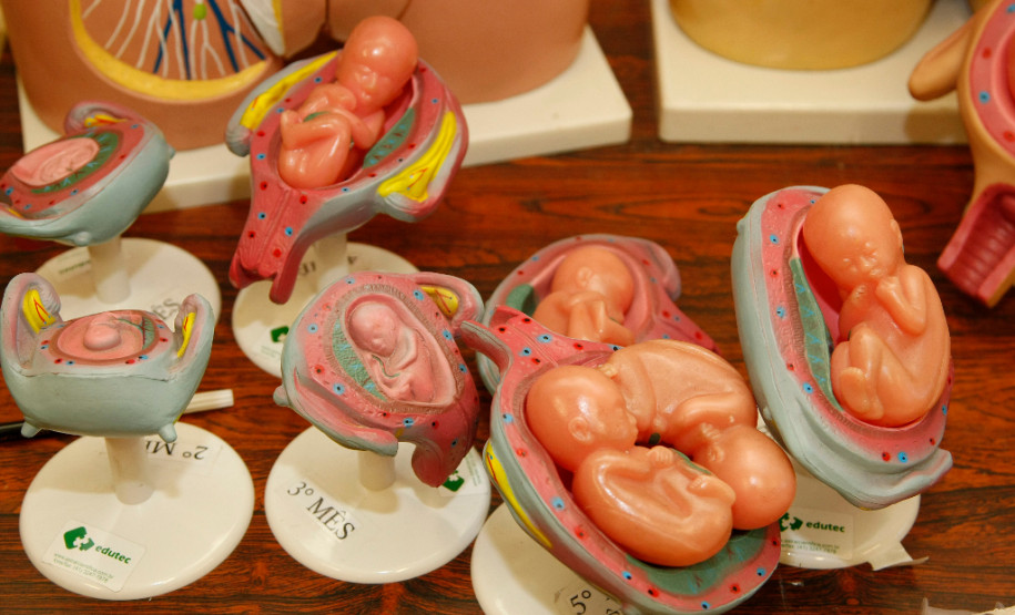 Estão abertas até 24 de junho as inscrições para 48 cursos profissionalizantes da Secretaria da Educação em três modalidades: Cursos Subsequentes ao Ensino Médio; PROEJA; Especialização Técnica de Nível Médio, para quem concluiu o curso técnico vinculado, com duração de seis meses a um ano.