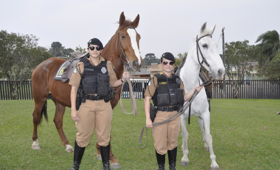 A comunidade escolar do Colégio Estadual São Sebastião, no bairro Umbará, em Curitiba, recebeu nesta terça-feira (13) a Banda da Polícia Militar do Paraná. A visita integra as comemorações dos 162 anos da Corporação, que incluem diversas apresentações socioculturais promovidas pela PM nas escolas até outubro.