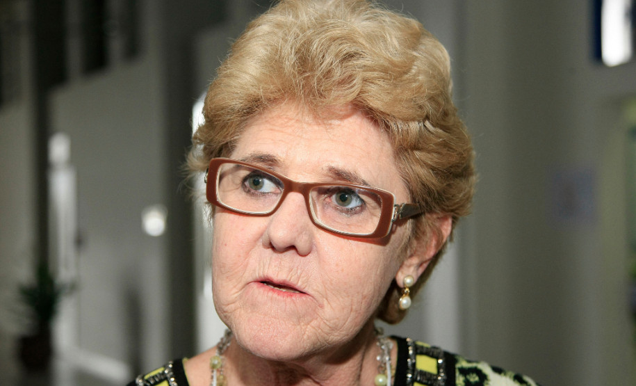 “Esse contato com os empresários vai facilitar muito o nosso intenso trabalho para encontrar empresas que estão com os documentos legalizados e em dia. Agora, vamos ter a certeza de fazer a compra correta, cumprindo todas as formalidades legais”, disse a diretora Marilei Conte Prasel, do Colégio Estadual Padre Honorino João Murano, de Guarapuava. “Estou há mais de vinte anos em direção de escola e nunca vi um programa tão positivo para nós diretores”, destacou Marilei.